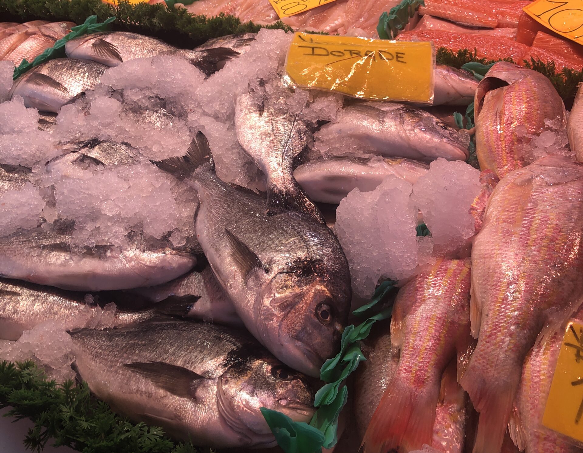 オランダ在住者必見!ハーグにある有名鮮魚市場が驚くほど安い