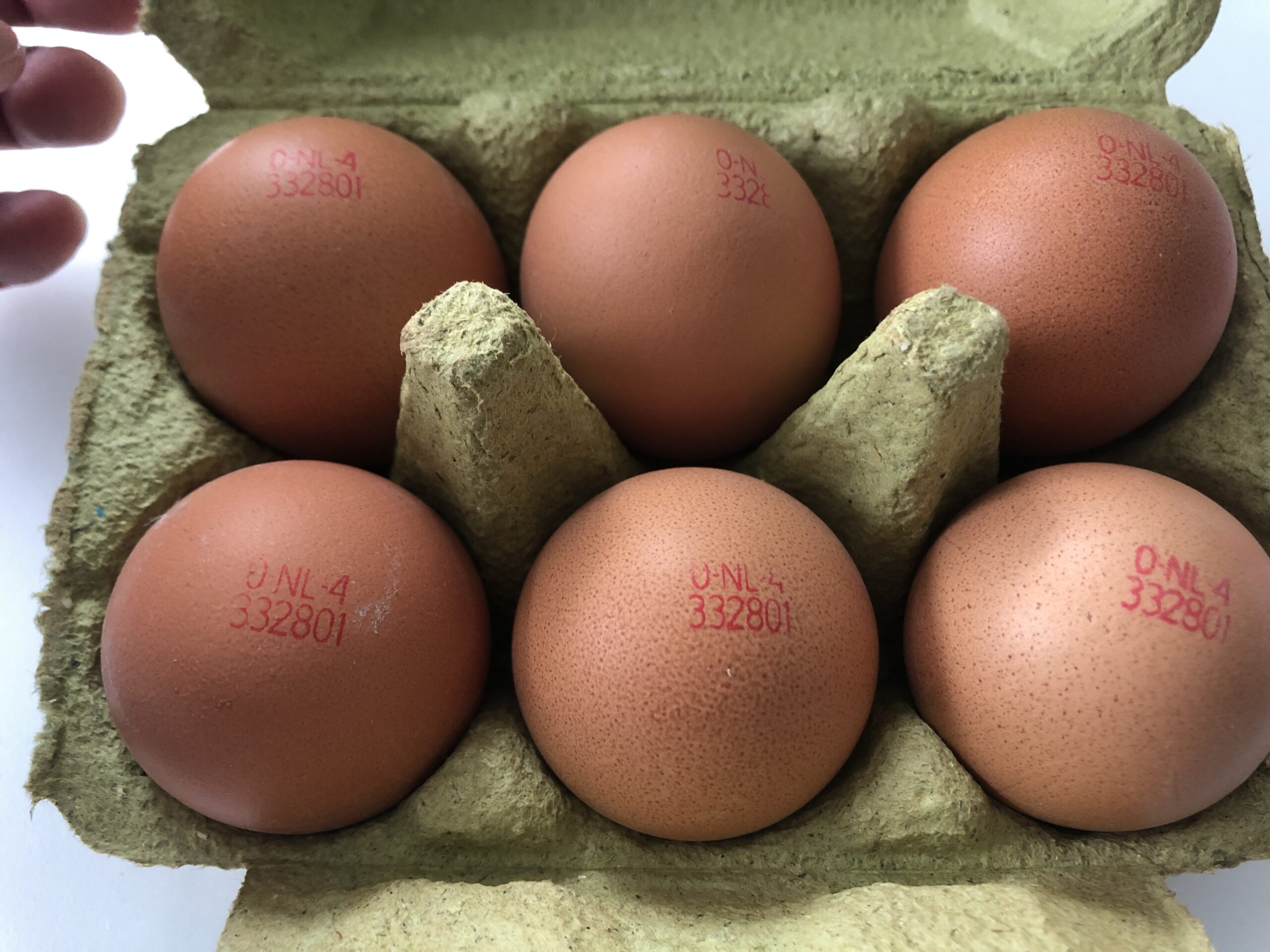 サルモネラ菌は大丈夫か？禁断の日本食卵かけご飯をオランダで食べる方法